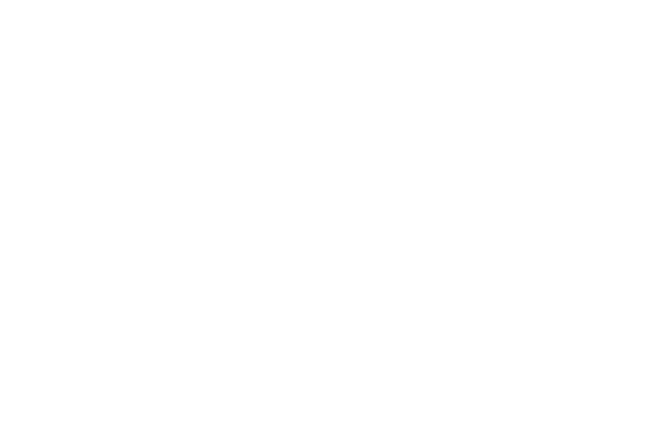 mitsa-logo-blanc
